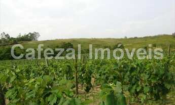 Imagem 2: SITIO RURAL em Itupeva - SP, Santa Eliza