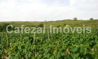 Imagem 5: SITIO RURAL em Itupeva - SP, Santa Eliza