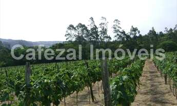 Imagem 6: SITIO RURAL em Itupeva - SP, Santa Eliza