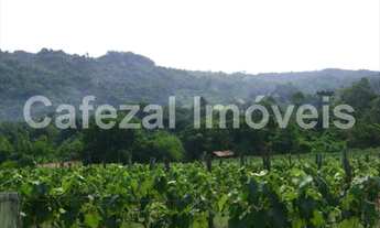 Imagem 7: SITIO RURAL em Itupeva - SP, Santa Eliza