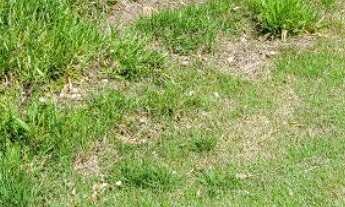 Imagem: TERRENO RESIDENCIAL em Itupeva - SP, Terras