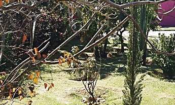 Imagem 7: CHÁCARAS RESIDENCIAL em ITUPEVA - SP, CAFEZAL II