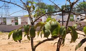 Imagem 3: ÁREA INDUSTRIAL INDUSTRIAL em Itupeva - SP, Bom Jardim