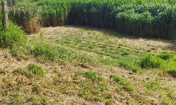 Imagem 4: TERRENO RESIDENCIAL em Itupeva - SP, Santa Eliza