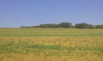 Imagem 4: FAZENDA RURAL em SALTO DE PIRAPORA - SP, locaida