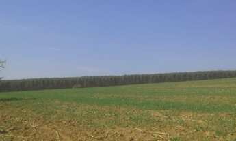 Imagem 5: FAZENDA RURAL em SALTO DE PIRAPORA - SP, locaida