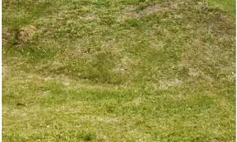 Imagem 2: TERRENO RESIDENCIAL em VOTORANTIM - SP, ALPHAVILLE NOVA ESPLANADA