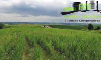 Imagem 5: OPORTUNIDADE ÁREA EM BOITUVA KM 111 DA RODOVIA CASTELO BRANCO 5.1 alqueires na TOTALIZANDO