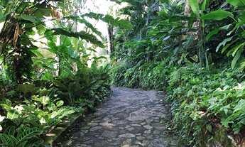 Imagem 7: AREA COMERCIAL em Angra dos Reis - RJ, Ilha de Caras