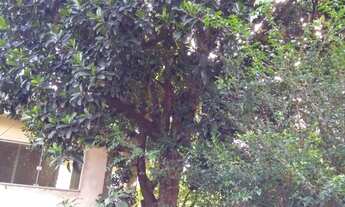 Imagem 6: CHACARA RESIDENCIAL em sorocaba - SP, Recanto Ipanema do Meio