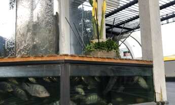 Imagem 7: SALA COMERCIAL em SOROCABA - SP, JARDIM VERGUEIRO