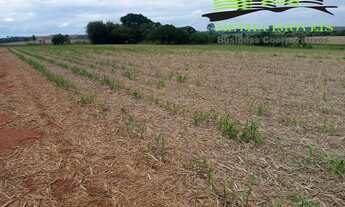 Imagem: FAZENDA RURAL em ITAPETININGA - SP, JARDIM