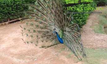 Imagem 4: TERRENO RESIDENCIAL em SOROCABA - SP, JARDIM NOVO HORIZONTE