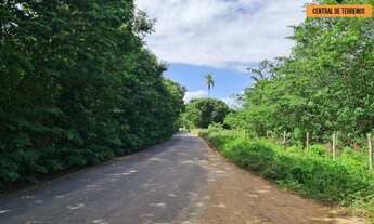 Imagem 5: TERRENO EM BARRA DE POJUCA - LINHA VERDE