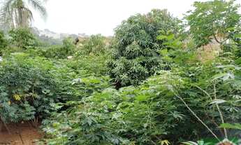 Imagem 2: TERRENO À VENDA | LOTEAMENTO PARQUE SÃO MARTINHO