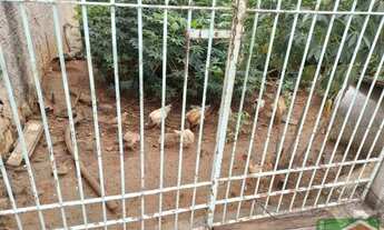 Imagem 3: TERRENO À VENDA | LOTEAMENTO PARQUE SÃO MARTINHO