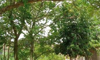 Imagem 7: TERRENO À VENDA | JARDIM FLORENCE