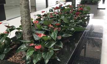 Imagem 7: Alpha Center - Lojas amplas para Aluguel, 1ª locação. Mezanino e banheiro próprio