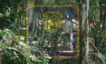 Imagem 4: APTOS NOVOS E AMPLOS 2 DORMS C/53 M² NA VILA CALIFÓRNIA