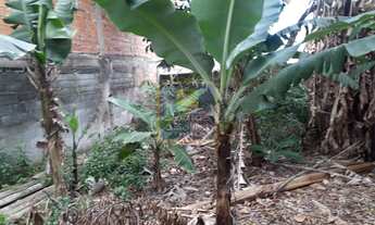 Imagem 4: CHÁCARA COM 3 MIL METROS NO PARQUE DOS BANCÁRIOS