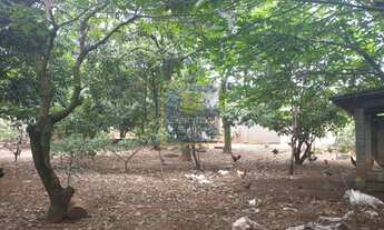 Imagem 3: CHÁCARA EM MOGI MIRIM COM 2.550M² EXCELENTE OPORTUNIDADE