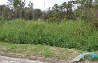 Imagem 2: Lote em rua de Calçamento, 250m², Próximo à ETEC e ao Condomínio 3 Marias - Estuda Propost