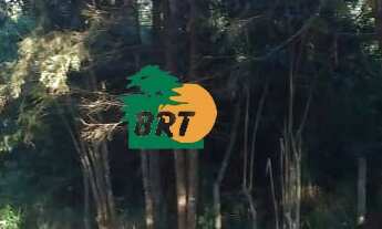 Imagem 5: CASA EM CONDOMINIO RESIDENCIAL em SÃO ROQUE - SP, SABOÓ