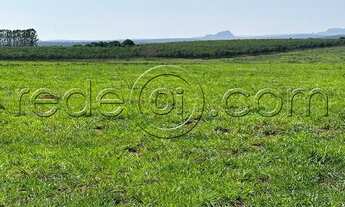 Imagem: FAZENDA ÁGUAS LINDAS CACHOEIRA DE GOIÁS
