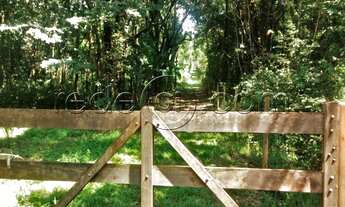 Imagem: Chácara com 30.000m2, casa rústica, 2