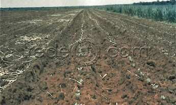 Imagem 4: Fazenda de 2.400,99 Alqueires goianos (Usina de Álcool desativada) - Arraias-TO