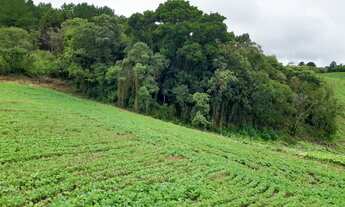 Imagem: CHACARA 21 MIL M2 REGISTRADA, 3 KM DO ASFALTO