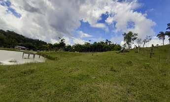 Imagem: SÍTIO DE 4,49 ALQUEIRES FRENTE BR 116 FUNDOS