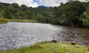 Imagem 3: SÍTIO DE 4,49 ALQUEIRES FRENTE BR 116 FUNDOS COM RESPRESA, por R$550.000,00, ESTUDA TROCA