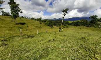 Imagem 7: SÍTIO DE 4,49 ALQUEIRES FRENTE BR 116 FUNDOS COM RESPRESA, por R$550.000,00, ESTUDA TROCA