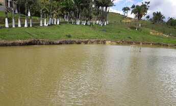 Imagem 2: SÍTIO DE 4,49 ALQUEIRES FRENTE BR 116 FUNDOS COM RESPRESA, por R$550.000,00, ESTUDA TROCA