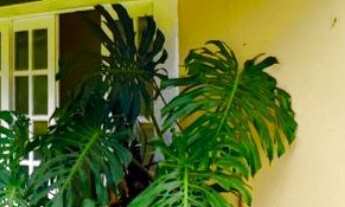 Imagem: Casa de alto padrão a venda em pocinhos