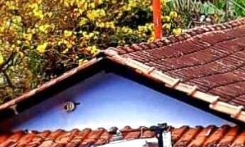 Imagem: Chácara com piscina e açude a venda no