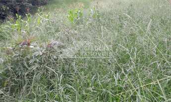 Imagem: Sitio a venda em laranjeiras de caldas mg