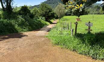 Imagem: Sitio de mais ou menos um alqueire a venda