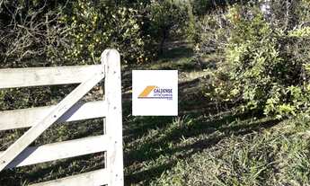 Imagem 2: Chácara para venda no Recanto dos amigos no Souza Lima