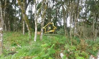 Imagem: 1380M² de Área Total na Rodovia Do Caqui