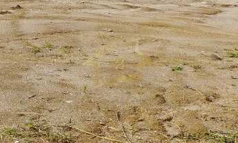 Imagem: 460M² de Área Total na Rua Padre Gustavo