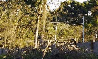 Imagem 4: 3000M² de Área Total na Rodovia Do Caqui