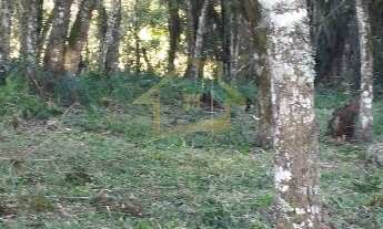 Imagem 7: 3000M² de Área Total na Rodovia Do Caqui