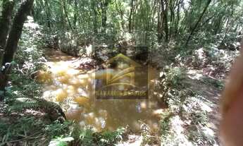 Imagem 3: 8565M² de Área Total na Rua Avelino Alves Pires