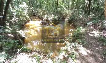 Imagem 6: 8565M² de Área Total na Rua Avelino Alves Pires