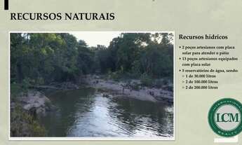 Imagem 4: Fazenda à venda em Tocantins