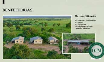 Imagem 3: Fazenda à venda em Tocantins