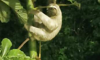 Imagem 2: TERRENO RESIDENCIAL em JOÃO PESSOA - PB, BANCÁRIOS
