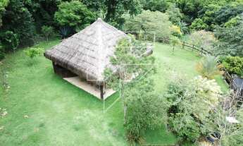 Imagem 7: Chácara a venda com 300 mil M² ou 12 Alqueires com córrego dentro da propriedade em Bueno